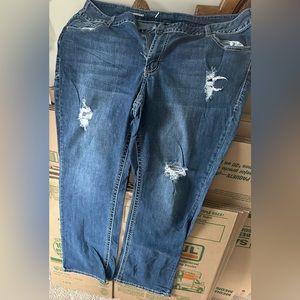 Lane Bryant Jeans - Size 22T